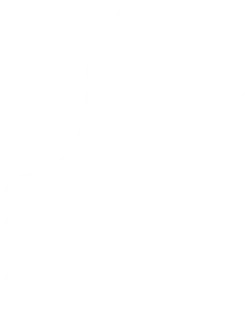 cables-icon