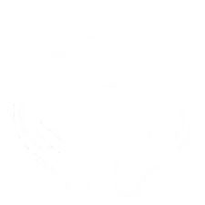 expert-service-icon