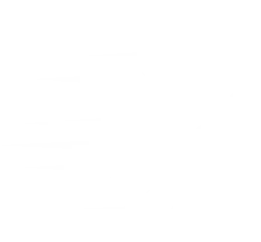 fast-service-icon