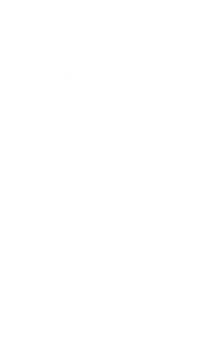 pulleys-icon
