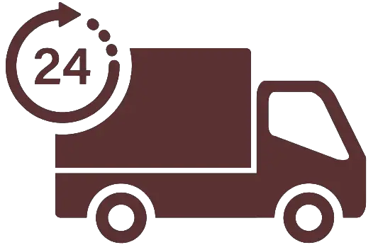 same-day-service-icon