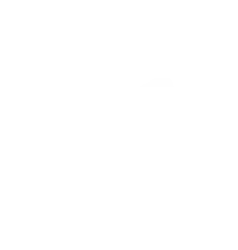 spring-adjustment-icon