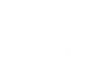 top-service